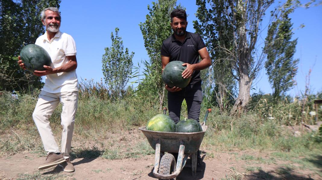 Köylü bu kez hasadın bereketini anlattı: İyi para kazanıyoruz 4